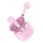 LITE II ROSA + SEED BUNDLE